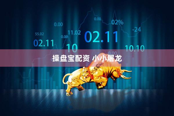 操盘宝配资 小小屠龙