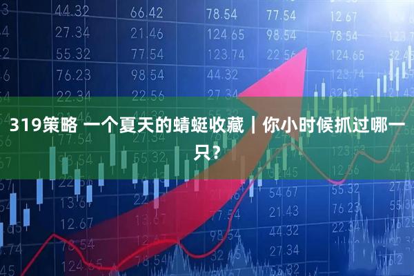 319策略 一个夏天的蜻蜓收藏|你小时候抓过哪一只?