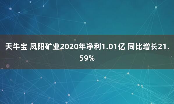 天牛宝 凤阳矿业2020年净利1.01亿 同比增长21.59%